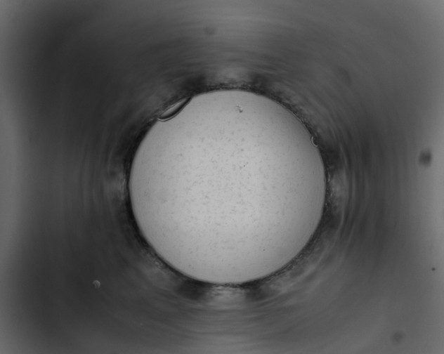 X0000102860617200809021425