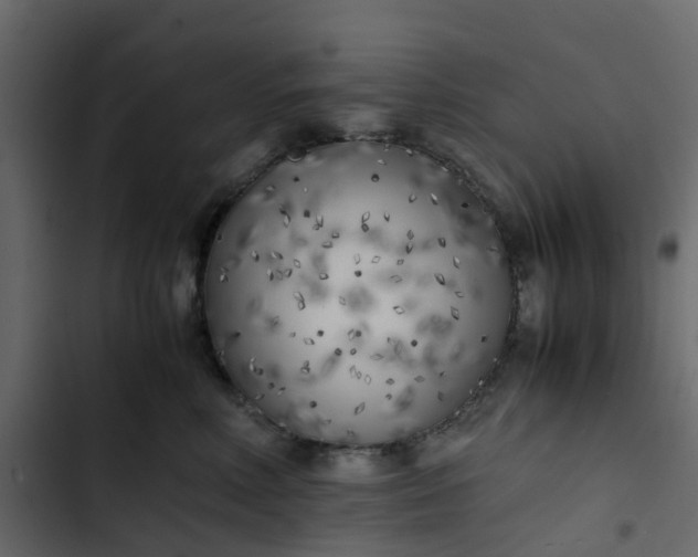 X0000102860618200809021425