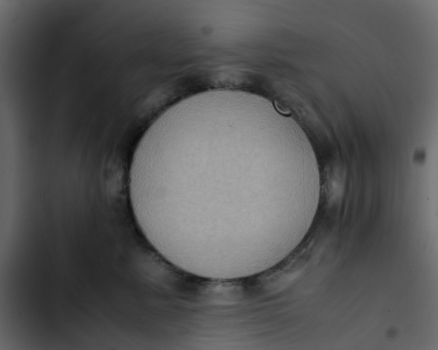 X0000102860619200809021425