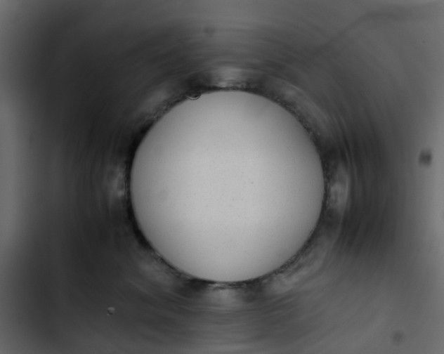 X0000102860620200809021425