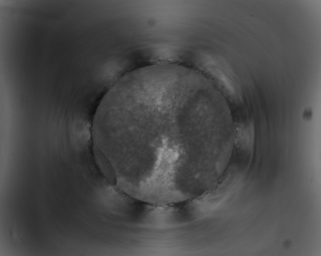 X0000102860621200809021425