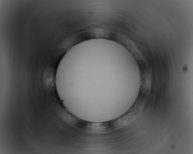 X0000102860622200809021425