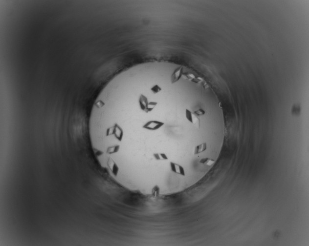 X0000102860623200809021425