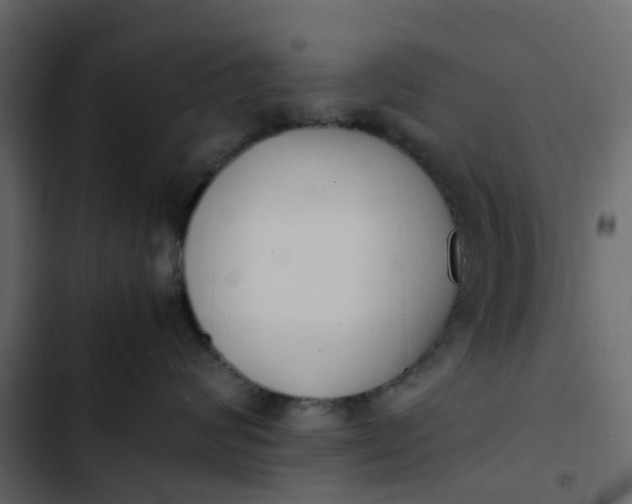 X0000102860624200809021425