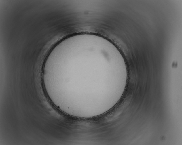 X0000102860625200809021425