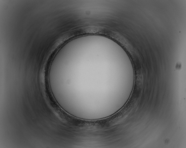 X0000102860626200809021425