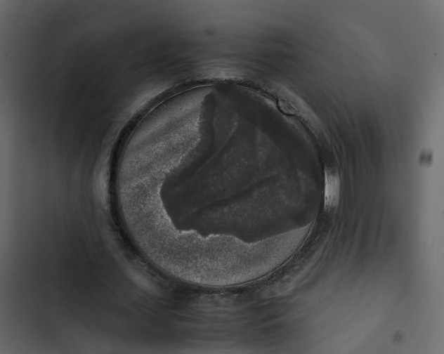 X0000102860627200809021425