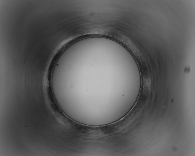 X0000102860628200809021425