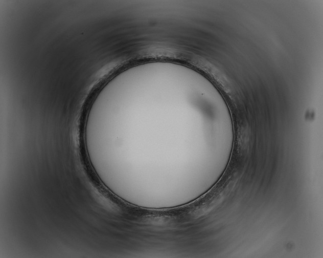 X0000102860629200809021425