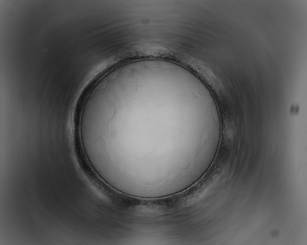 X0000102860630200809021425