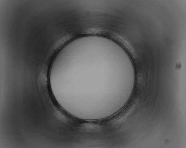 X0000102860633200809021425