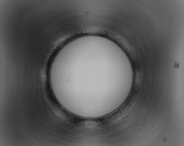 X0000102860636200809021425