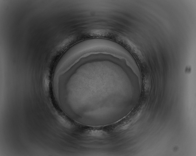 X0000102860637200809021425