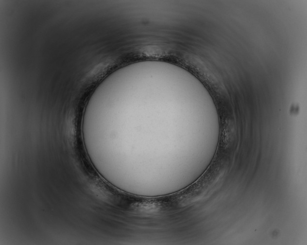 X0000102860639200809021425