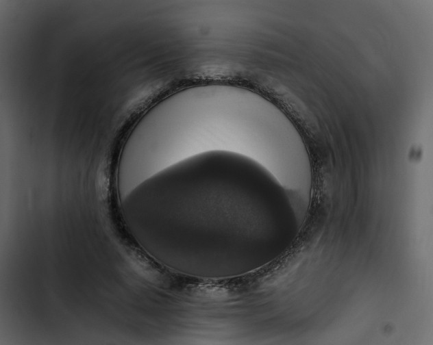 X0000102860640200809021425