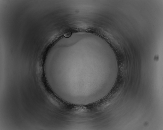 X0000102860642200809021425