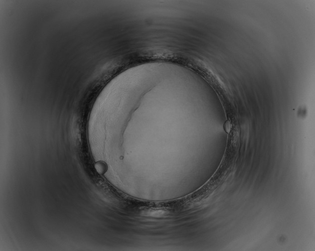 X0000102860643200809021425