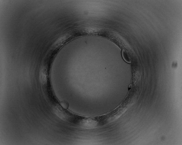 X0000102860644200809021425