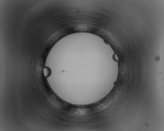 X0000102860645200809021425