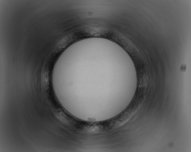 X0000102860646200809021425