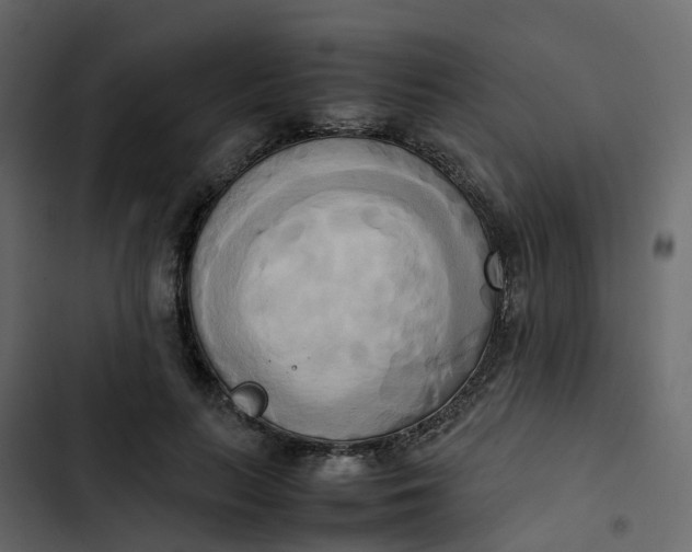 X0000102860647200809021425