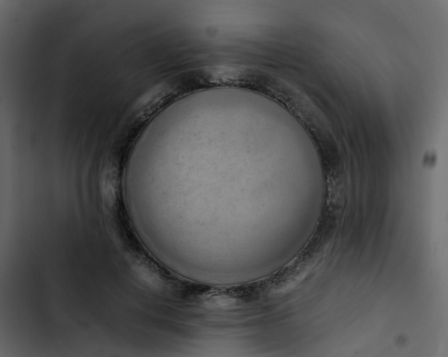 X0000102860648200809021425