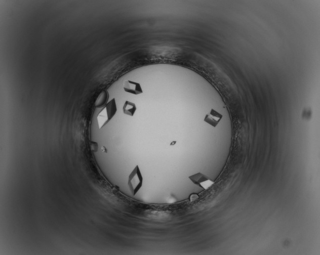 X0000102860649200809021425