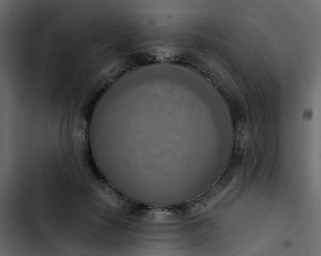 X0000102860650200809021425