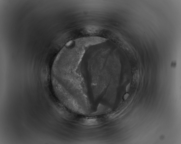 X0000102860651200809021425