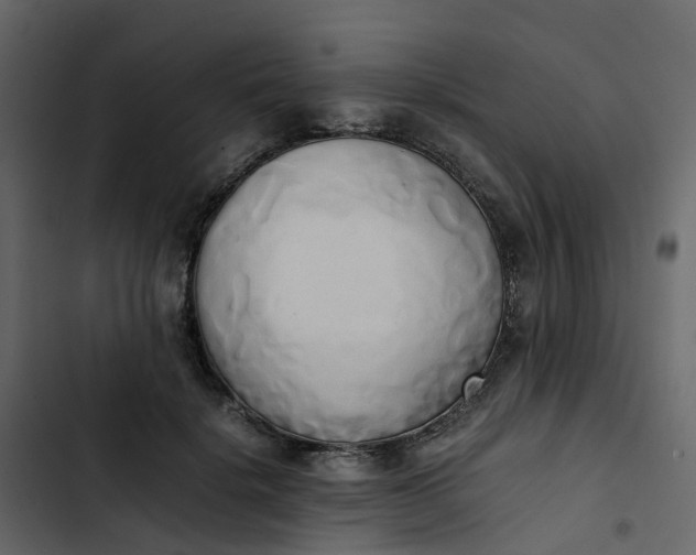 X0000102860652200809021425