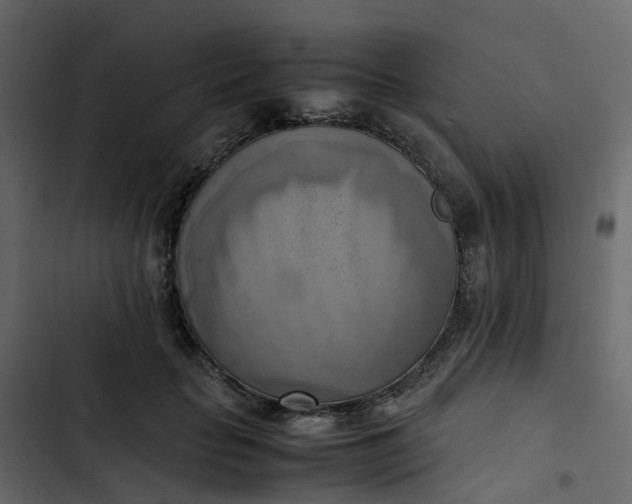 X0000102860653200809021425