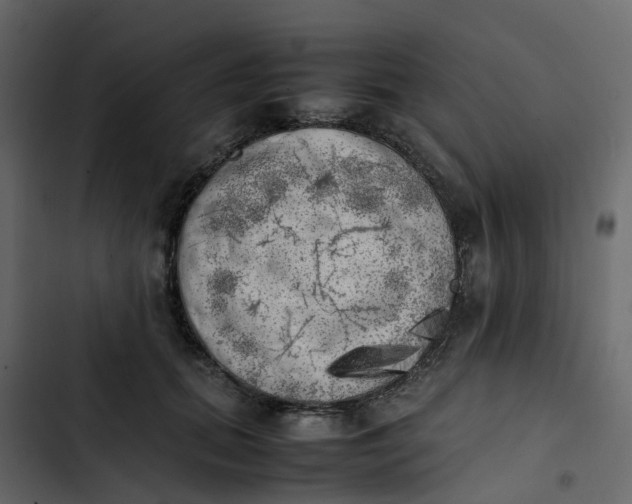 X0000102860655200809021425