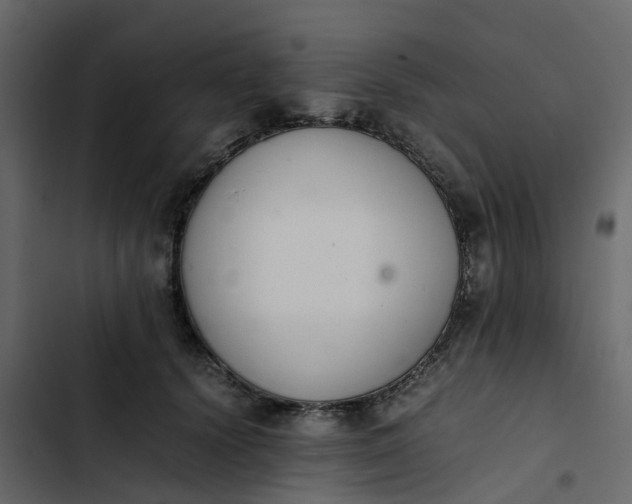 X0000102860656200809021425