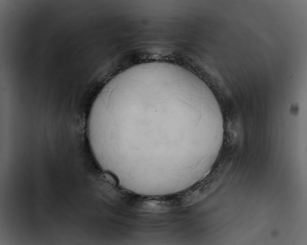 X0000102860657200809021425