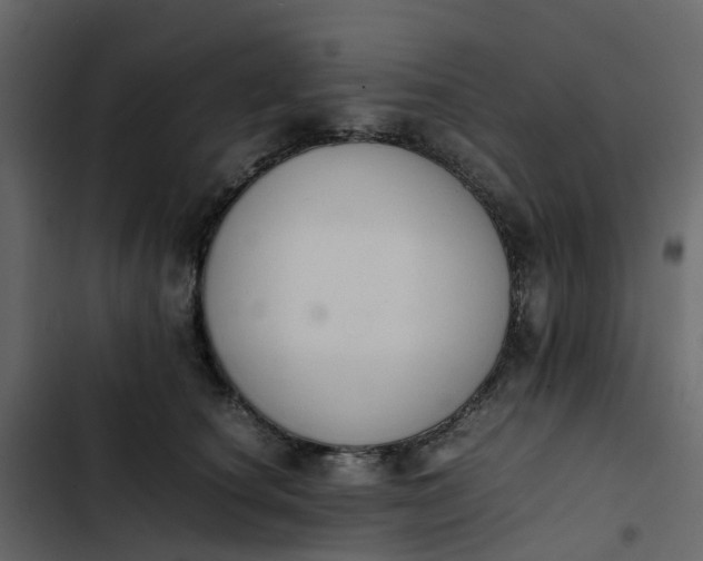 X0000102860660200809021425