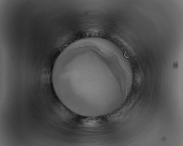 X0000102860661200809021425