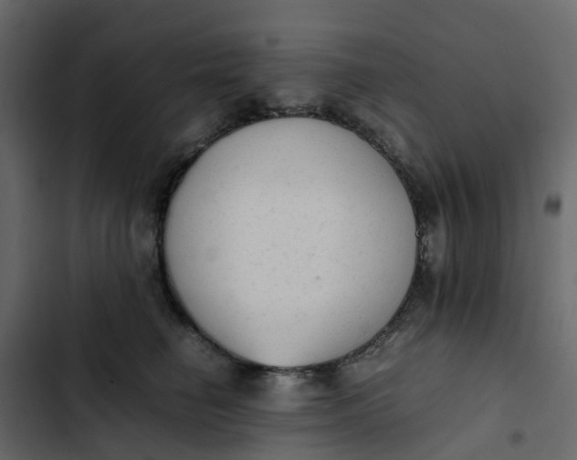 X0000102860662200809021425