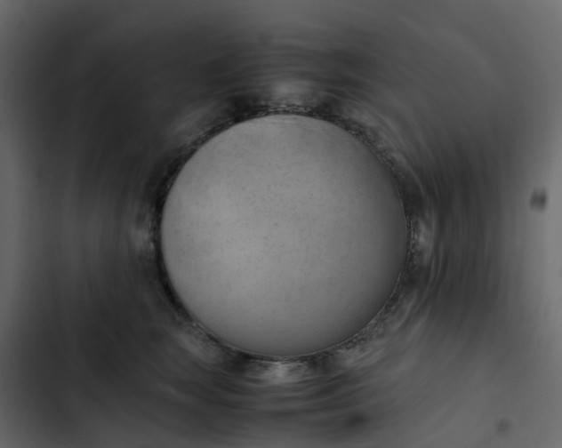 X0000102860663200809021425