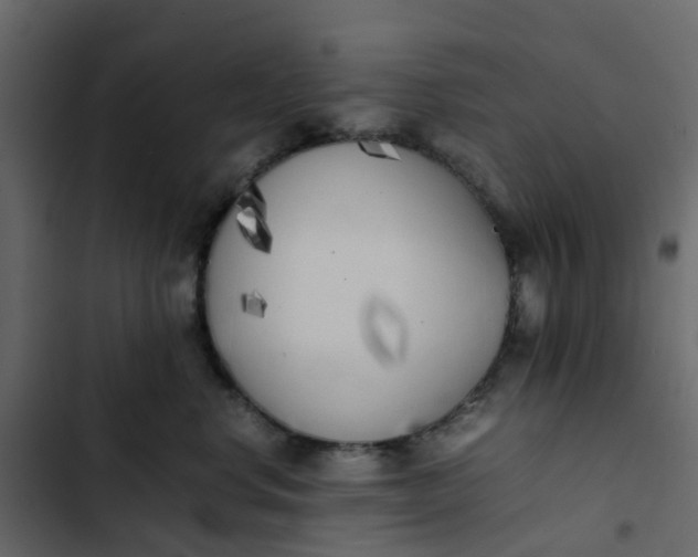 X0000102860668200809021425