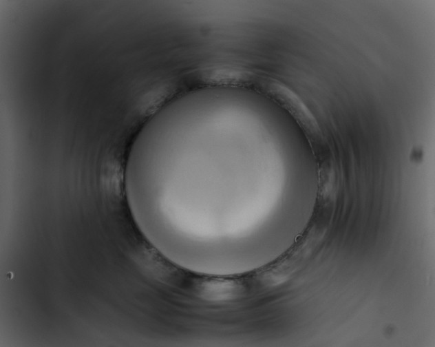 X0000102860669200809021425