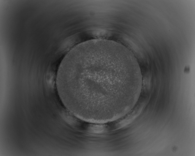 X0000102860671200809021425