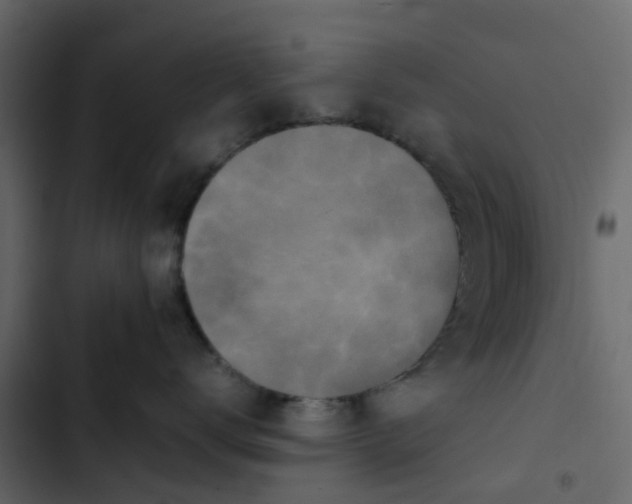 X0000102860672200809021425