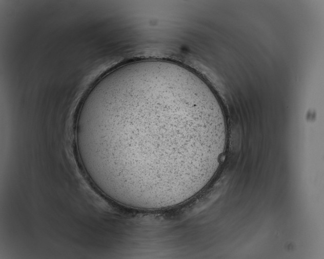 X0000102860673200809021425