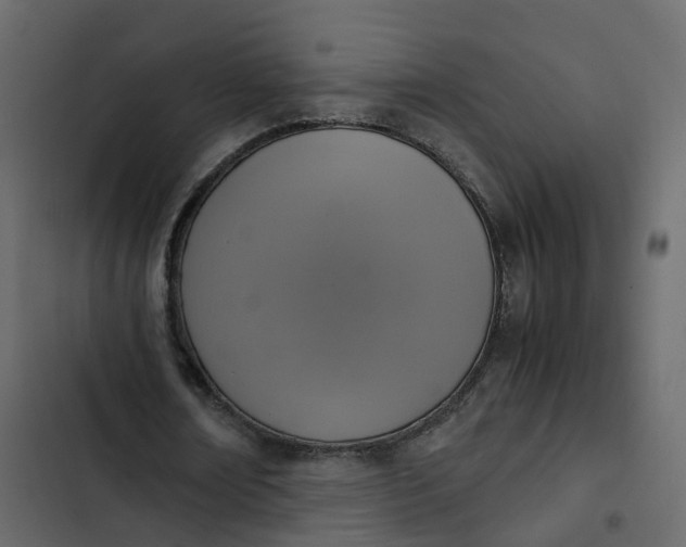 X0000102860674200809021425