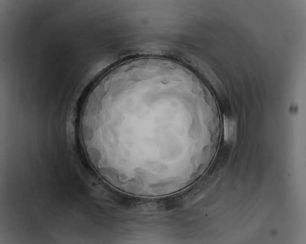 X0000102860675200809021424