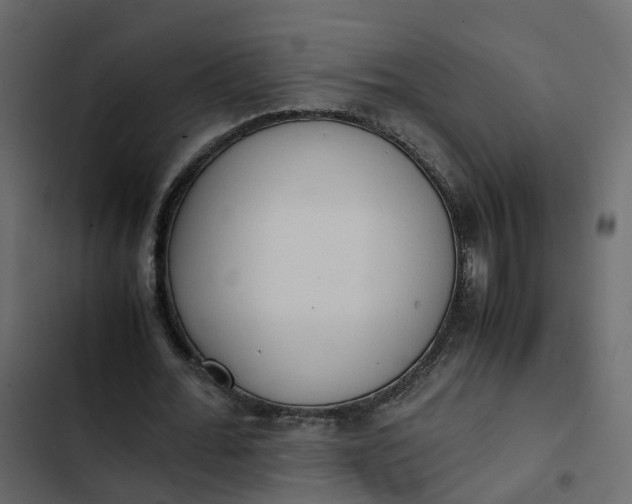 X0000102860676200809021424