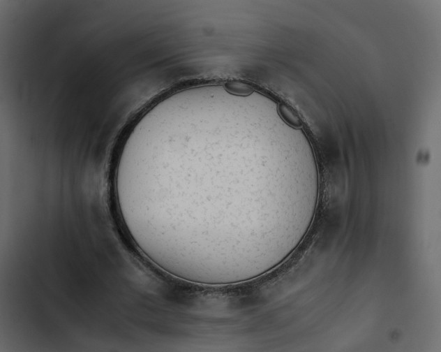 X0000102860677200809021424