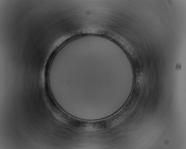 X0000102860678200809021424