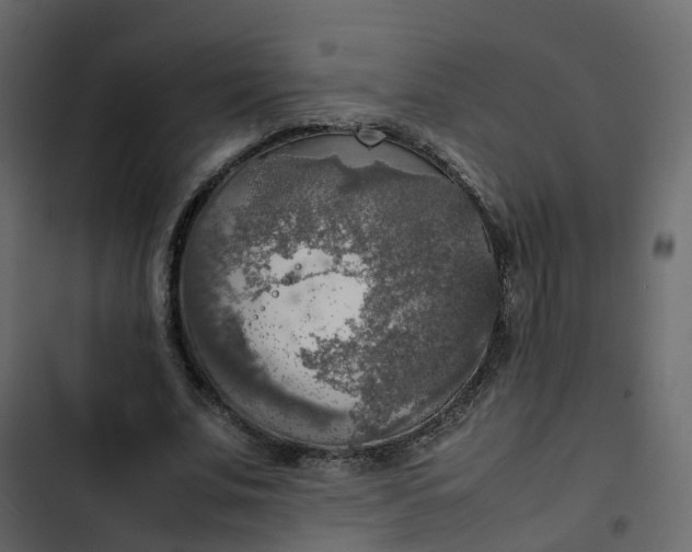 X0000102860679200809021424