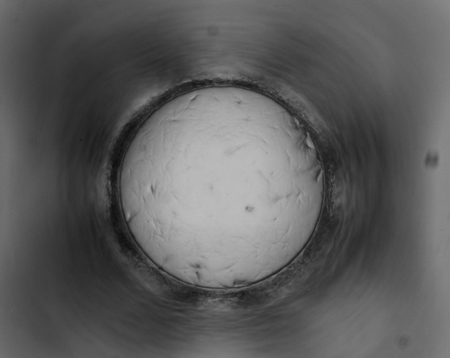 X0000102860680200809021424